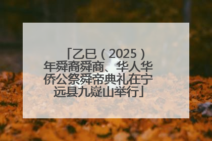 乙巳（2025）年舜裔舜商、华人华侨公祭舜帝典礼在宁远县九嶷山举行