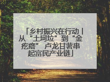 乡村振兴在行动丨从“土坷垃”到“金疙瘩” 卢龙甘薯串起富民产业链