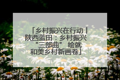乡村振兴在行动丨陕西蓝田：乡村振兴 “三部曲” 绘就和美乡村新画卷