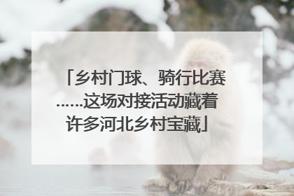 乡村门球、骑行比赛……这场对接活动藏着许多河北乡村宝藏