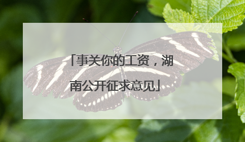 事关你的工资，湖南公开征求意见