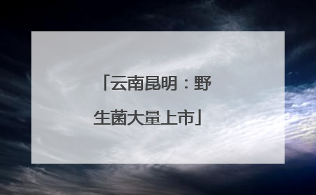 云南昆明：野生菌大量上市