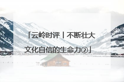 云岭时评丨不断壮大文化自信的生命力②