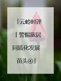云岭时评丨警惕旅居同质化发展苗头④