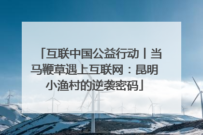 互联中国公益行动丨当马鞭草遇上互联网：昆明小渔村的逆袭密码