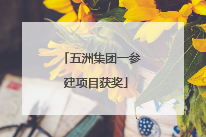 五洲集团一参建项目获奖