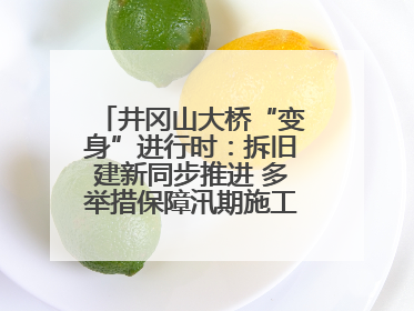 井冈山大桥“变身”进行时：拆旧建新同步推进 多举措保障汛期施工（图）