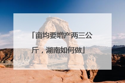 亩均要增产两三公斤，湖南如何做