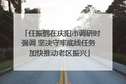 任振鹤在庆阳市调研时强调 坚决守牢底线任务 加快推动老区振兴