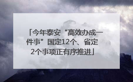 今年泰安“高效办成一件事”国定12个、省定2个事项正有序推进