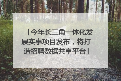 今年长三角一体化发展实事项目发布，将打造招聘数据共享平台
