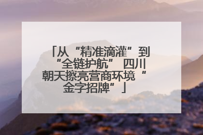 从“精准滴灌”到“全链护航” 四川朝天擦亮营商环境“金字招牌”