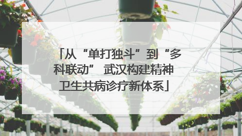 从“单打独斗”到“多科联动” 武汉构建精神卫生共病诊疗新体系