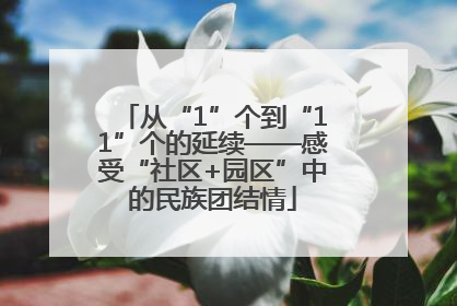 从“1”个到“11”个的延续——感受“社区+园区”中的民族团结情