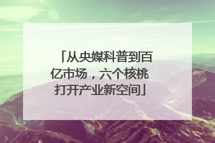 从央媒科普到百亿市场，六个核桃打开产业新空间