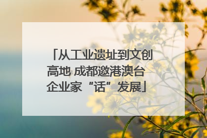 从工业遗址到文创高地 成都邀港澳台企业家“话”发展