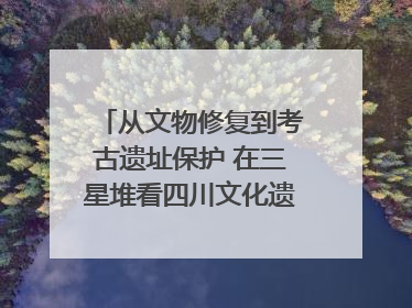 从文物修复到考古遗址保护 在三星堆看四川文化遗产焕发新光彩｜您牵挂的四川