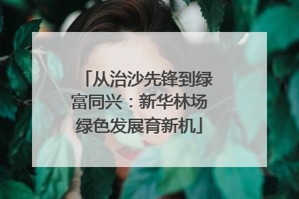 从治沙先锋到绿富同兴：新华林场绿色发展育新机