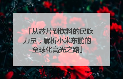 从芯片到饮料的民族力量，解析小米东鹏的全球化高光之路