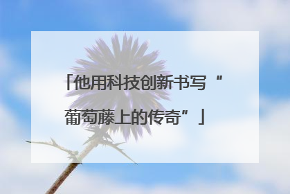 他用科技创新书写“葡萄藤上的传奇”