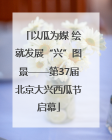 以瓜为媒 绘就发展“兴”图景——第37届北京大兴西瓜节启幕