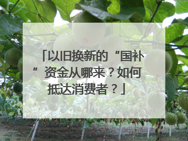 以旧换新的“国补”资金从哪来？如何抵达消费者？