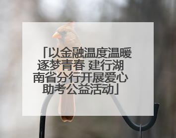 以金融温度温暖逐梦青春 建行湖南省分行开展爱心助考公益活动