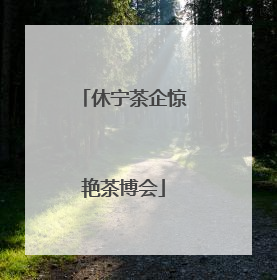 休宁茶企惊艳茶博会