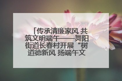 传承清廉家风 共筑文明端午——舞阳街道长春村开展“树道德新风 扬端午文化”主题活动