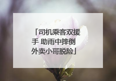 司机乘客双援手 助雨中摔倒外卖小哥脱险