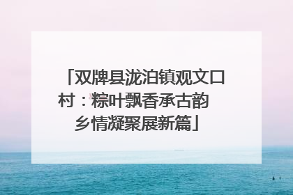 双牌县泷泊镇观文口村：粽叶飘香承古韵 乡情凝聚展新篇