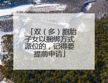双（多）胞胎子女以捆绑方式派位的，记得要提前申请
