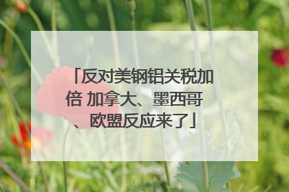 反对美钢铝关税加倍 加拿大、墨西哥、欧盟反应来了