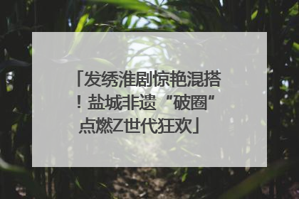 发绣淮剧惊艳混搭！盐城非遗“破圈”点燃Z世代狂欢