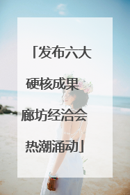 发布六大硬核成果 廊坊经洽会热潮涌动