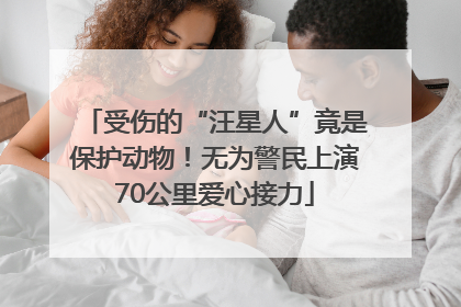 受伤的“汪星人”竟是保护动物！无为警民上演70公里爱心接力