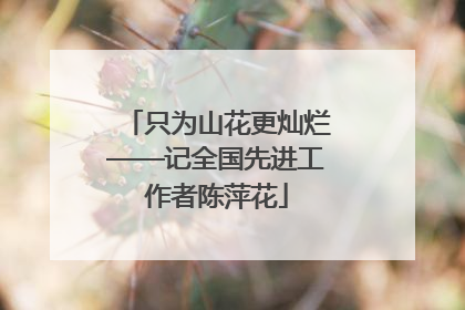 只为山花更灿烂——记全国先进工作者陈萍花