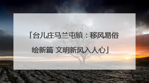 台儿庄马兰屯镇：移风易俗绘新篇 文明新风入人心