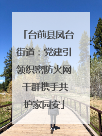 台前县凤台街道：党建引领织密防火网 干群携手共护家园安