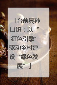 台前县孙口镇：以“红色引擎”驱动乡村建设“绿色发展”
