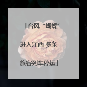 台风“蝴蝶”进入江西 多条旅客列车停运
