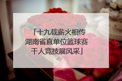 十九载薪火相传 湖南省直单位篮球赛千人竞技展风采