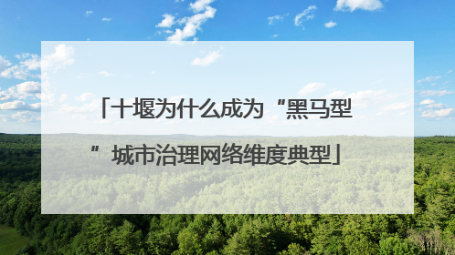 十堰为什么成为“黑马型”城市治理网络维度典型