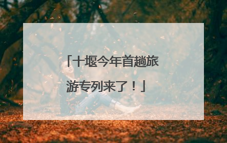 十堰今年首趟旅游专列来了！