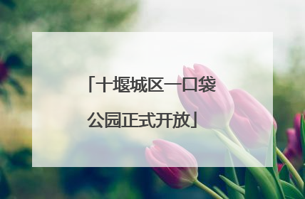 十堰城区一口袋公园正式开放