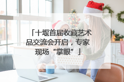 十堰首届收藏艺术品交流会开启，专家现场“掌眼”