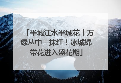 半城江水半城花丨万绿丛中一抹红！冰城锦带花进入盛花期