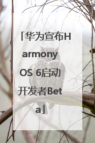 华为宣布HarmonyOS 6启动开发者Beta