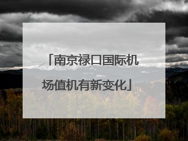 南京禄口国际机场值机有新变化