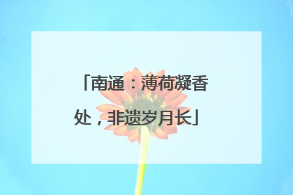 南通：薄荷凝香处，非遗岁月长